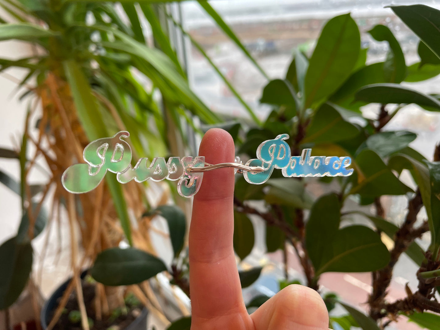 Pussy Palace Tiny Glasses