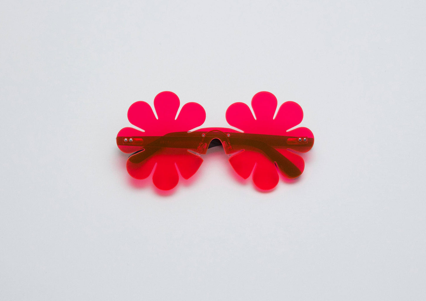 Neon Daisy Glasses