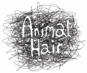 Animal Hair