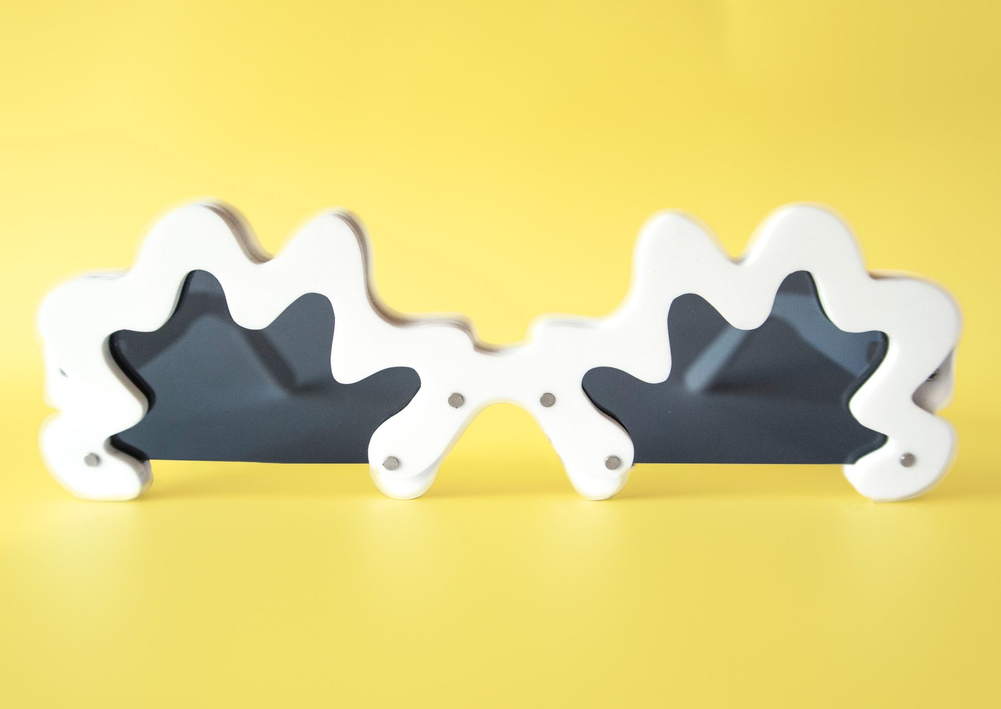 wiggle glasses cover photo animalhair