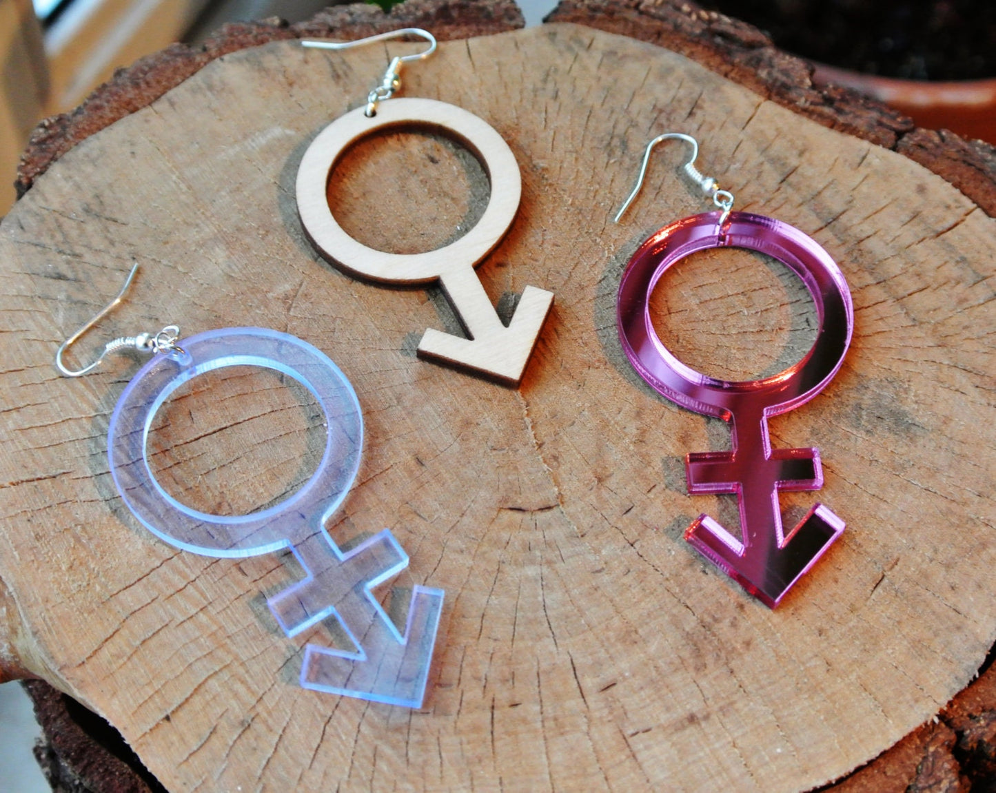 All Gender Symbol Earrings