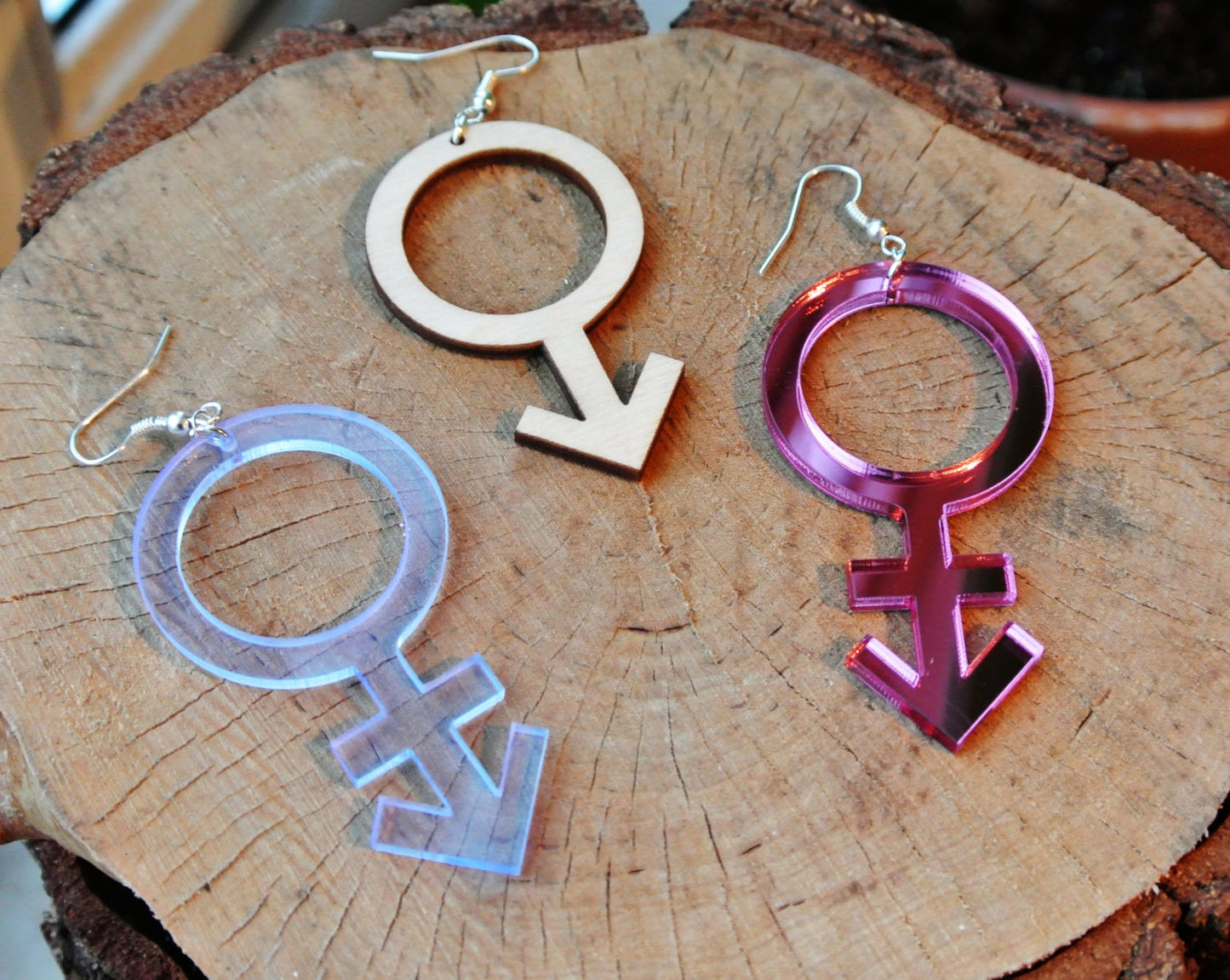 Every Gender Symbol Earrings