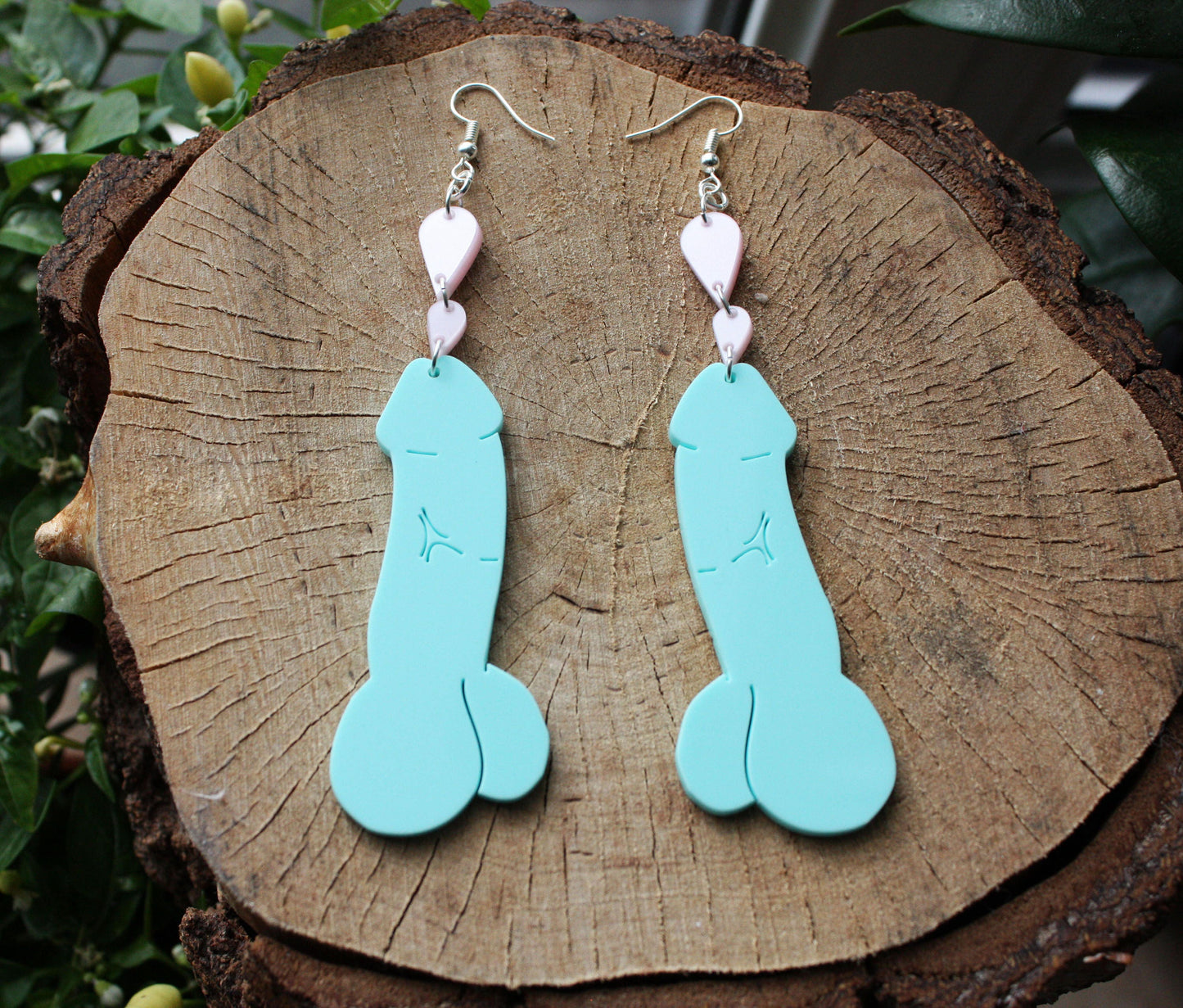 Pastel Dick Earrings