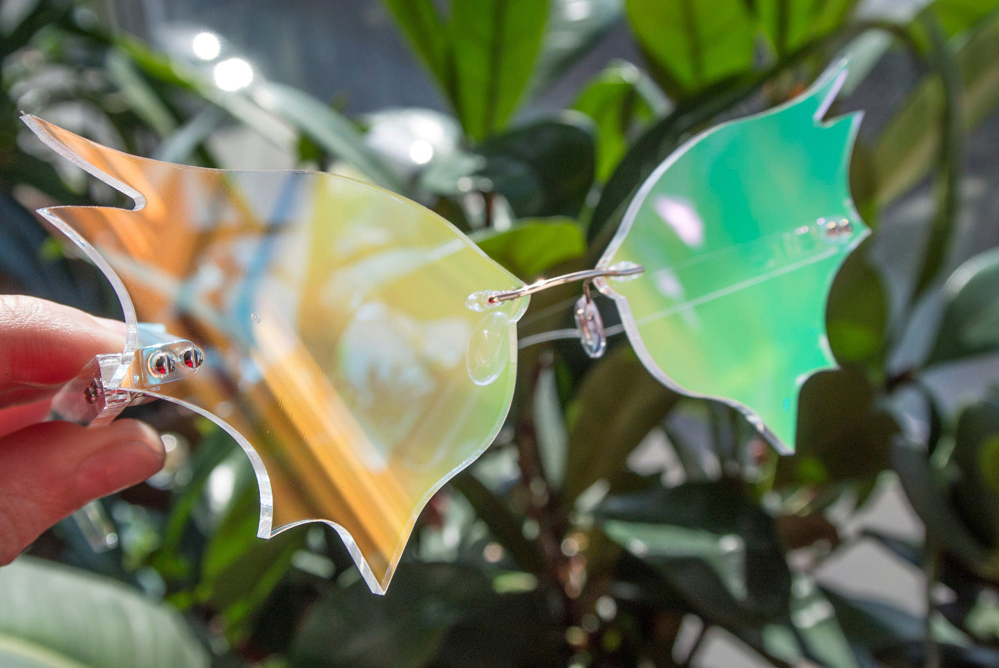 Iridescent Bat Wing Glasses