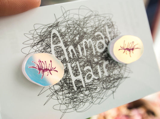 Butthole stud earrings, finny novelty jewellery by independent jewellery designer animalhair
